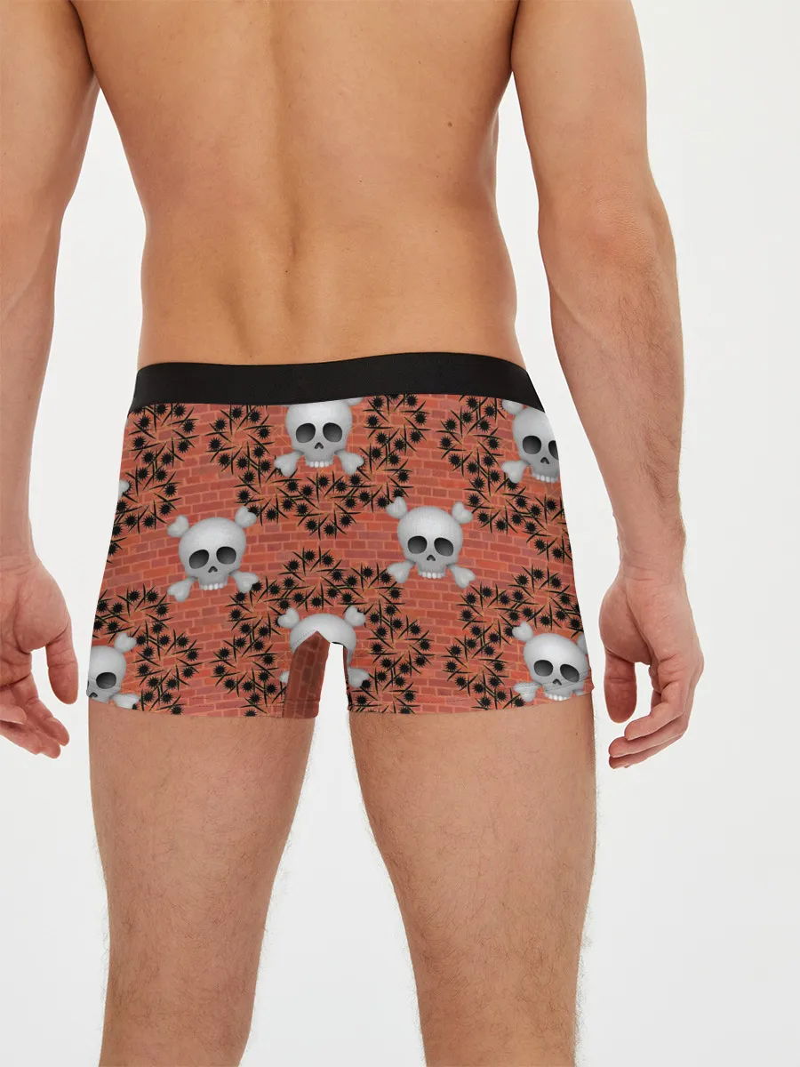 Мужские трусы боксеры / Кирпичные черепа