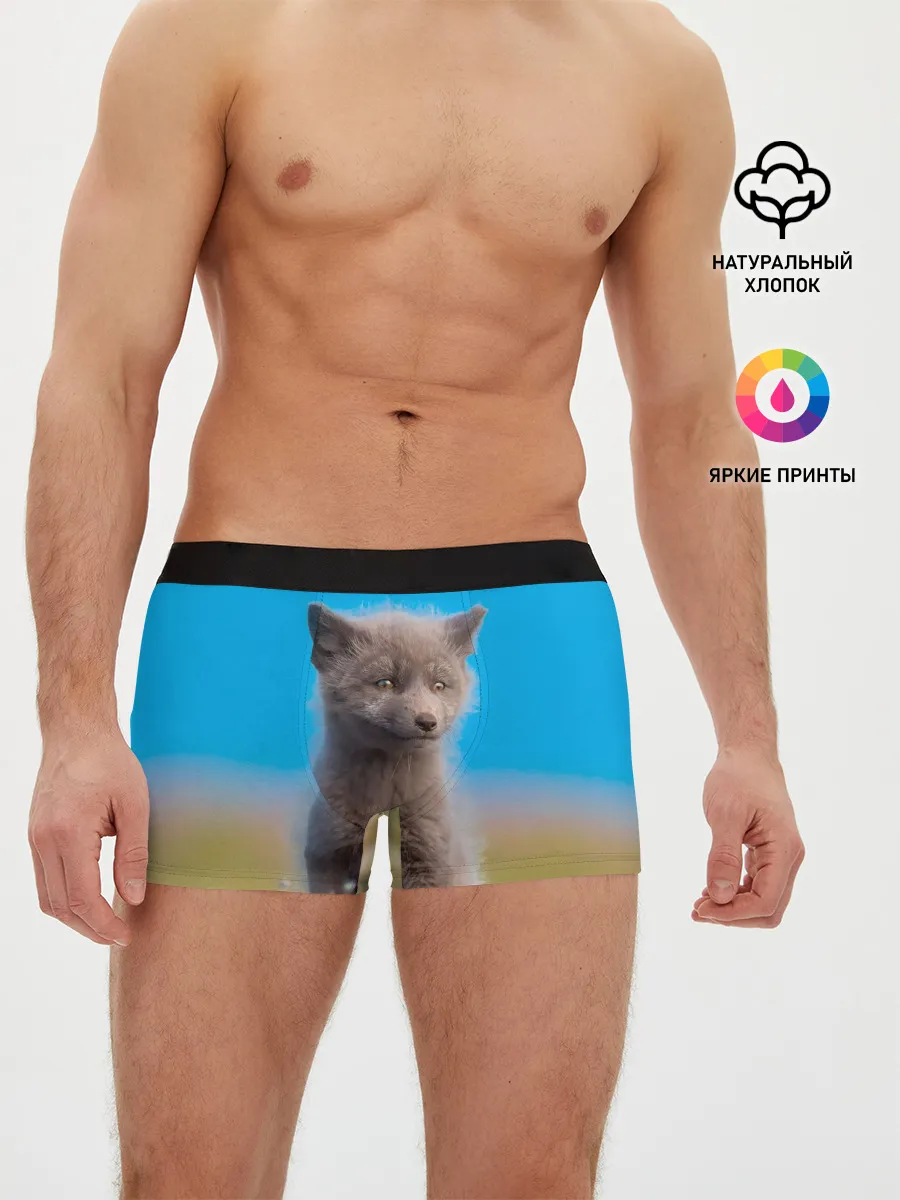 Мужские трусы боксеры / Смешной лисенок
