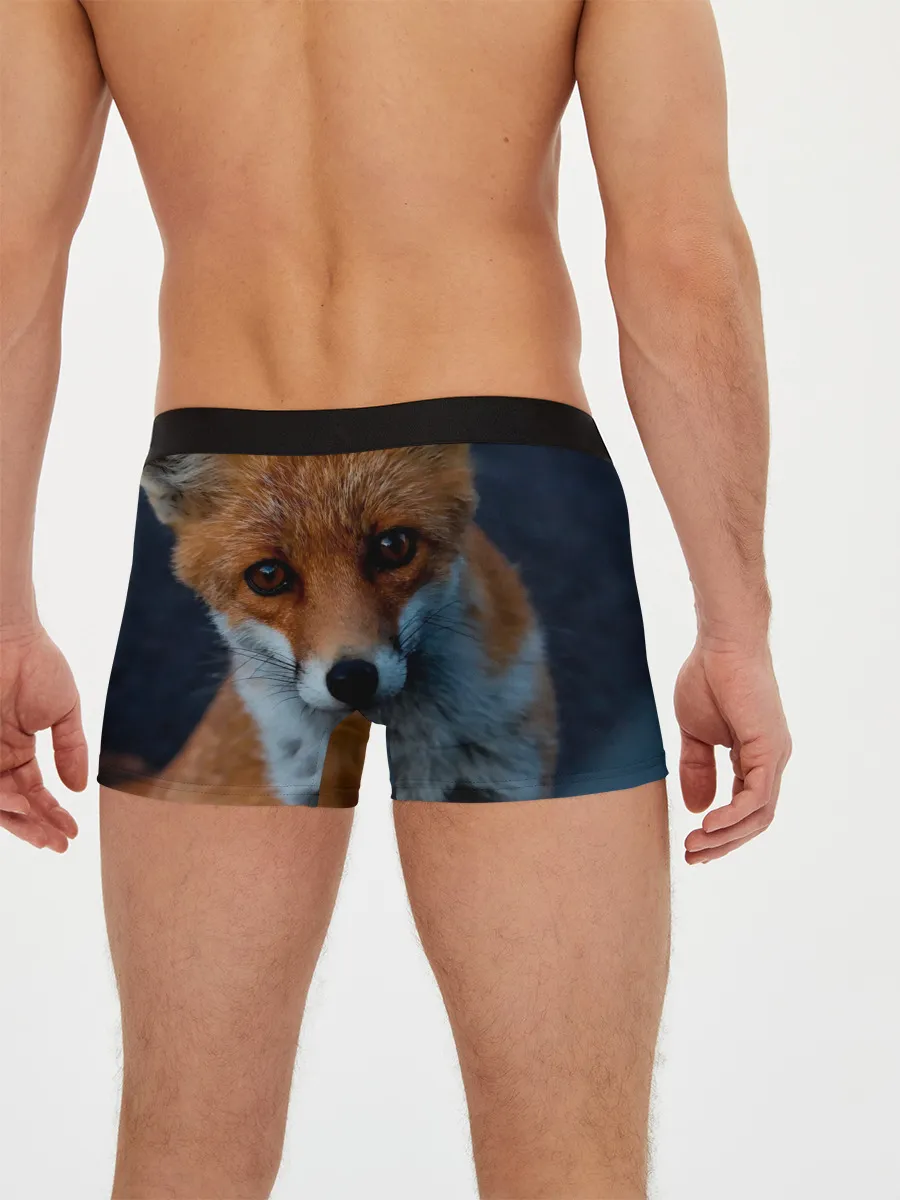 Мужские трусы боксеры / Мудрая лиса