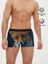 Мужские трусы боксеры / Мудрая лиса