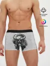 Мужские трусы боксеры / Экспансия Викинга