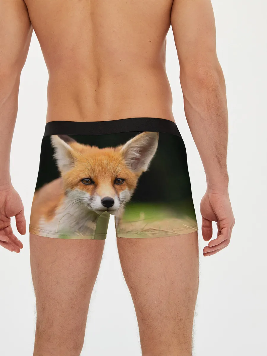 Мужские трусы боксеры / Мордочка лисицы