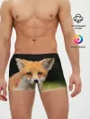 Мужские трусы боксеры / Мордочка лисицы