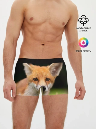 Мужские трусы боксеры / Мордочка лисицы