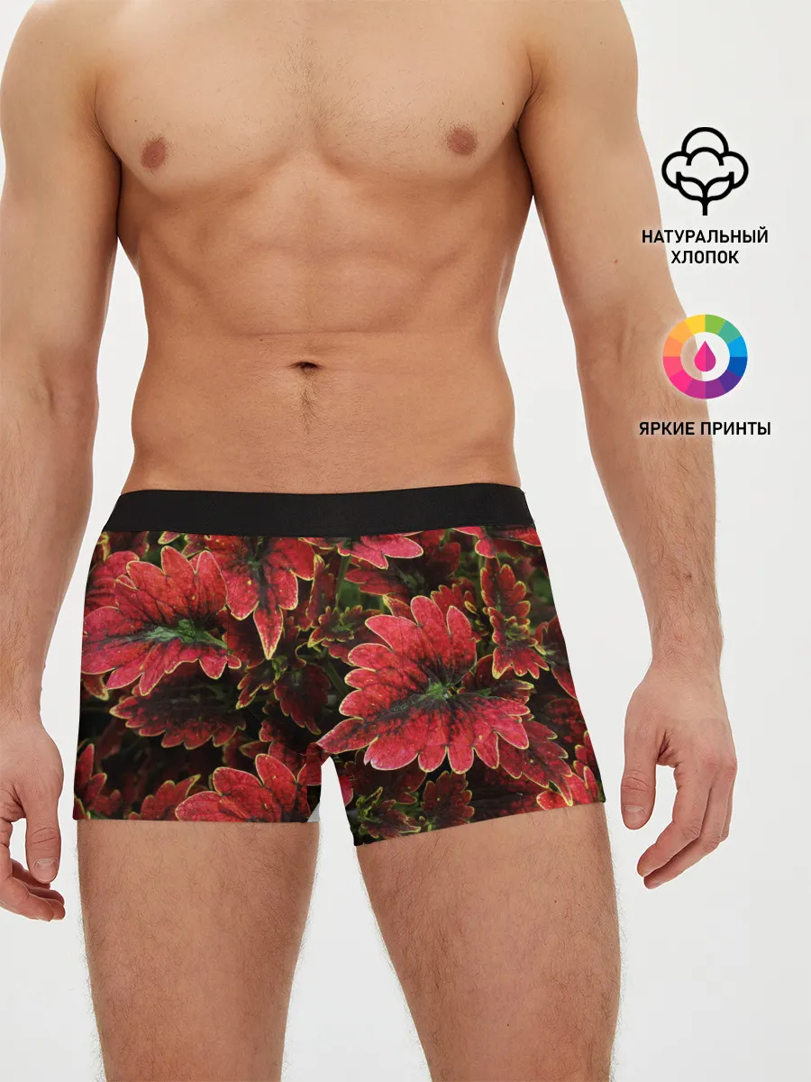 Мужские трусы боксеры / Красные листья