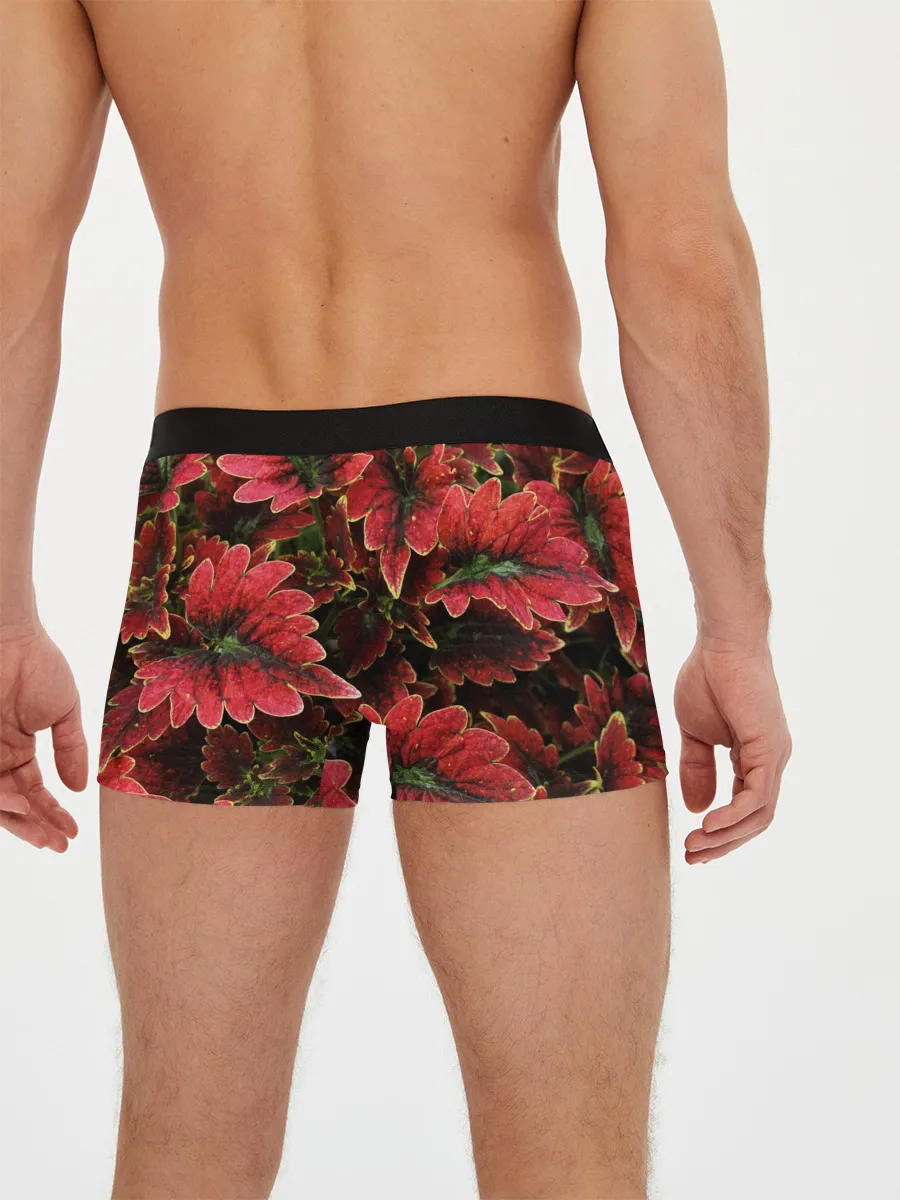 Мужские трусы боксеры / Красные листья