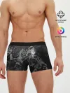 Мужские трусы боксеры / Battle with the dragon / TES