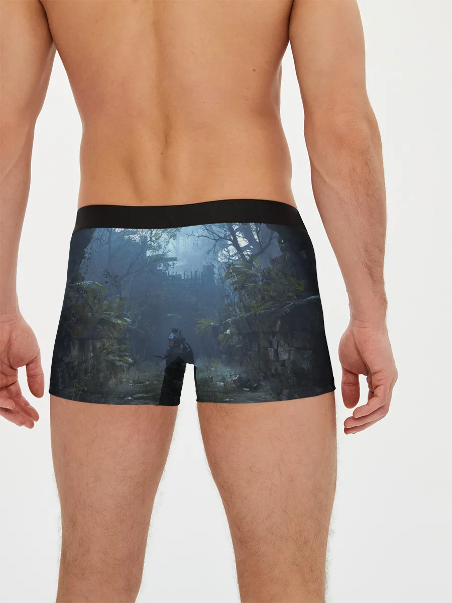 Мужские трусы боксеры / Demons Souls art