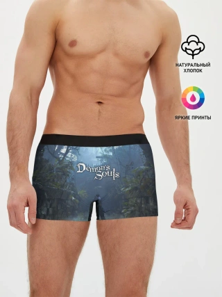 Мужские трусы боксеры / Demons Souls art