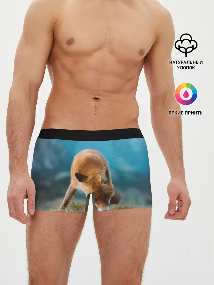 Мужские трусы боксеры / Милая лисичка