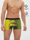 Мужские трусы боксеры / Shrek | Шрек