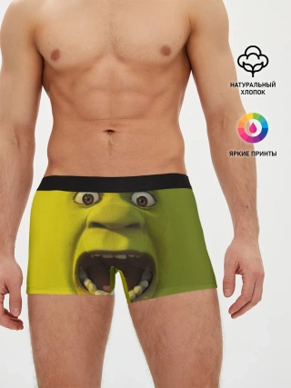 Мужские трусы боксеры / Shrek | Шрек