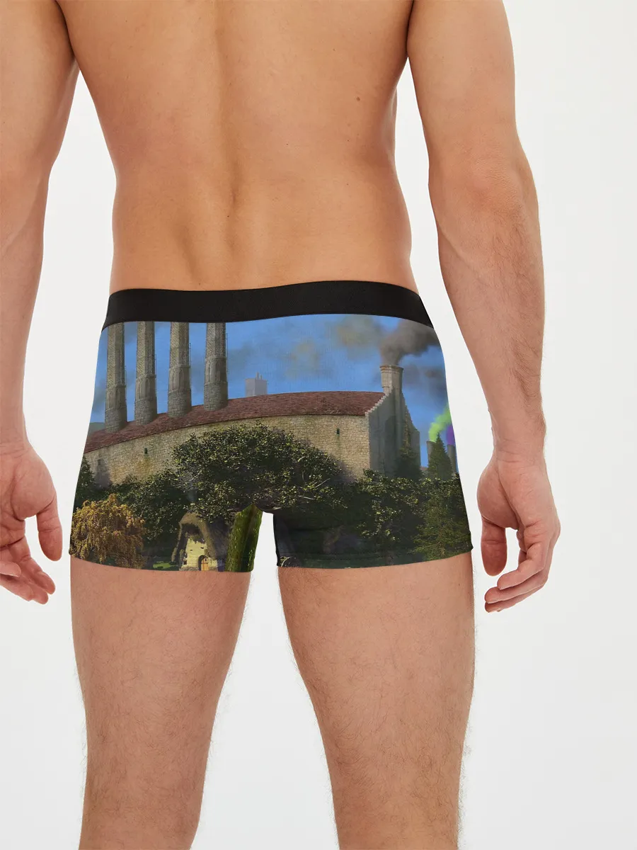 Мужские трусы боксеры / Шрек, Кот и Осёл