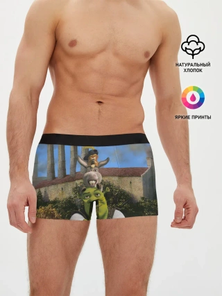 Мужские трусы боксеры / Шрек, Кот и Осёл