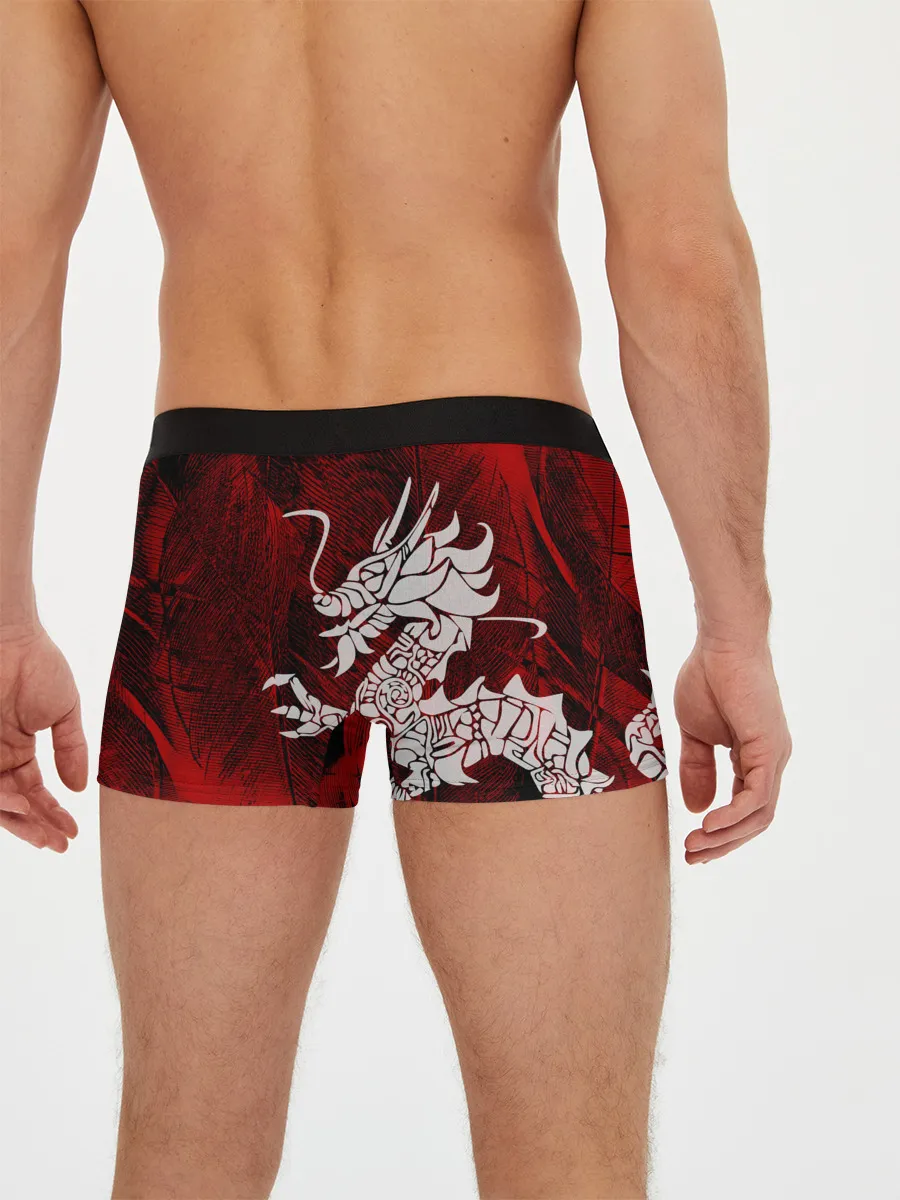 Мужские трусы боксеры / Chinese Dragon