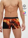 Мужские трусы боксеры / Данте в огне