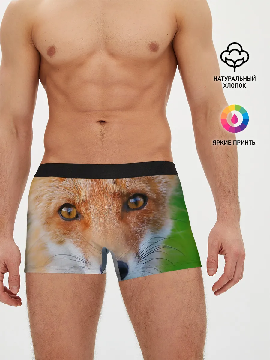 Мужские трусы боксеры / Крупно мордочка лисы