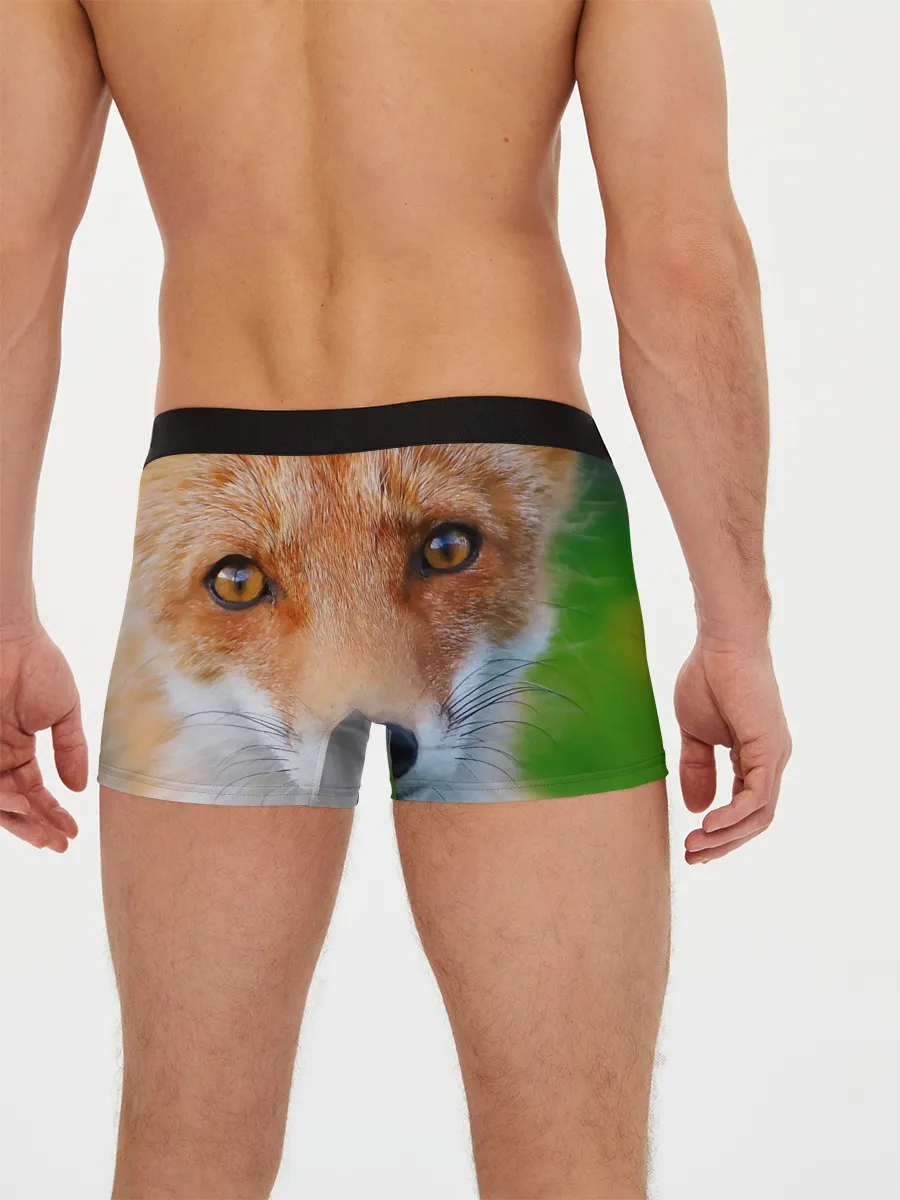 Мужские трусы боксеры / Крупно мордочка лисы