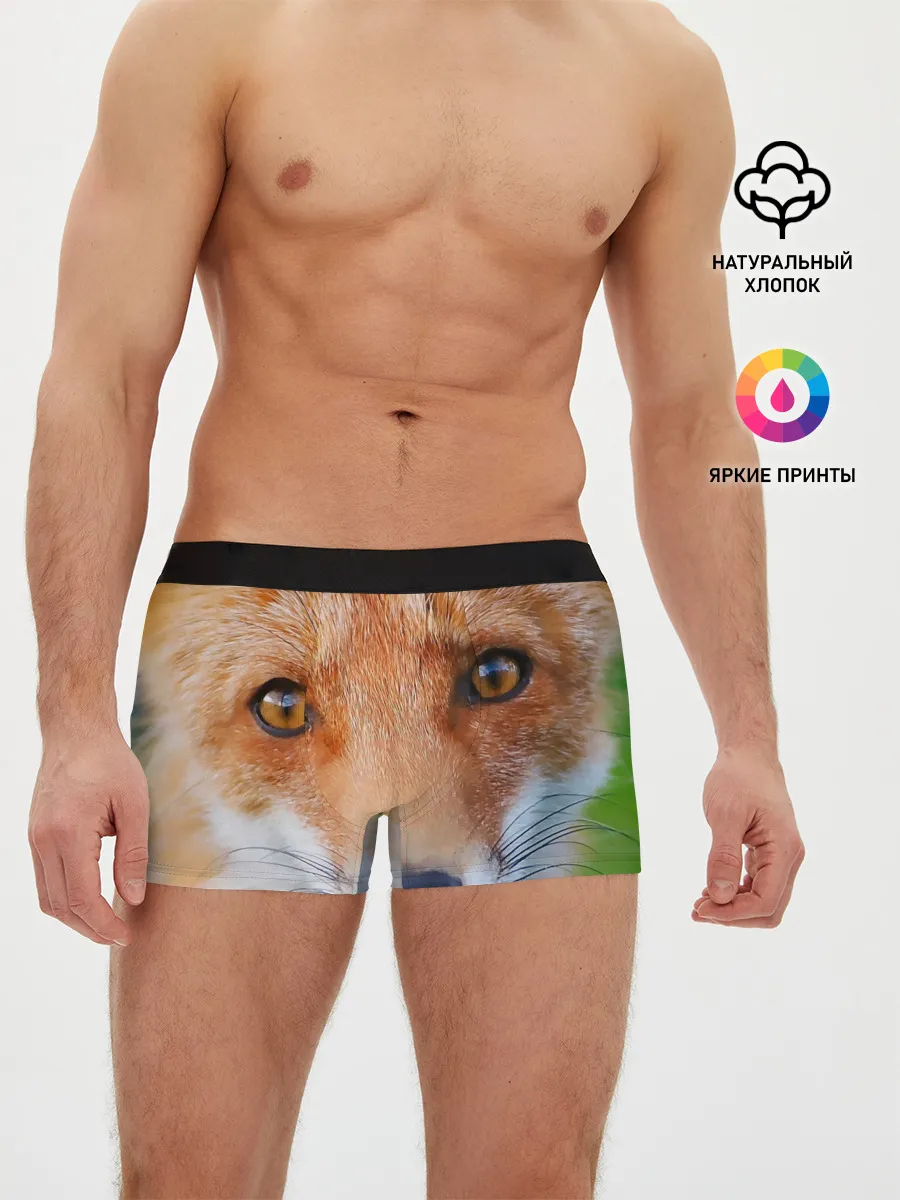 Мужские трусы боксеры / Крупно мордочка лисы
