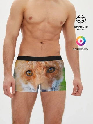 Мужские трусы боксеры / Крупно мордочка лисы