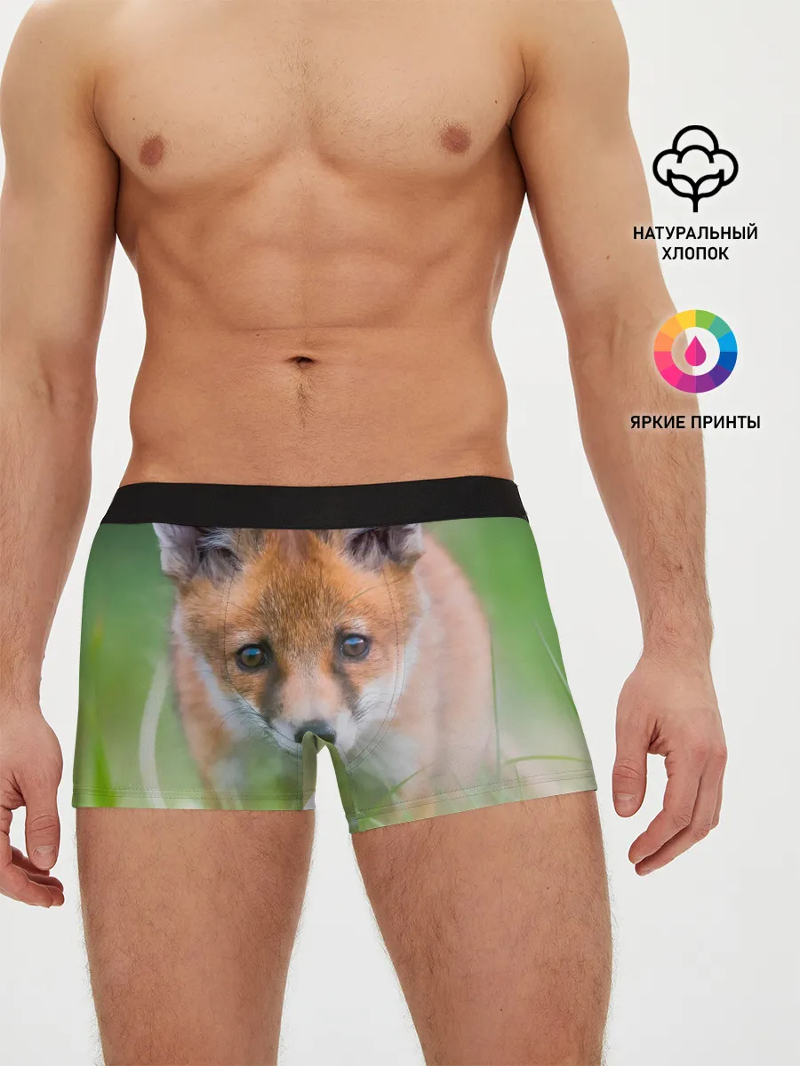 Мужские трусы боксеры / Лисенок в засаде
