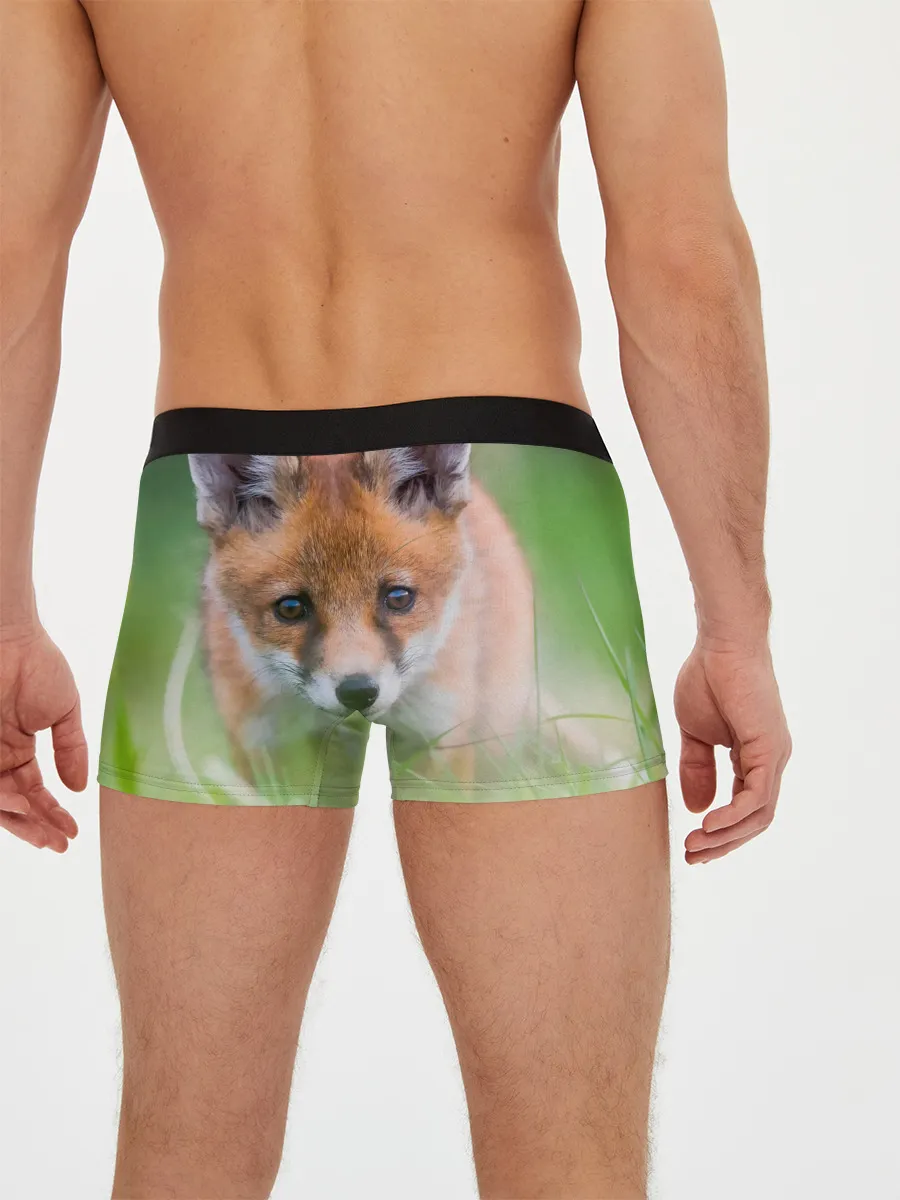 Мужские трусы боксеры / Лисенок в засаде