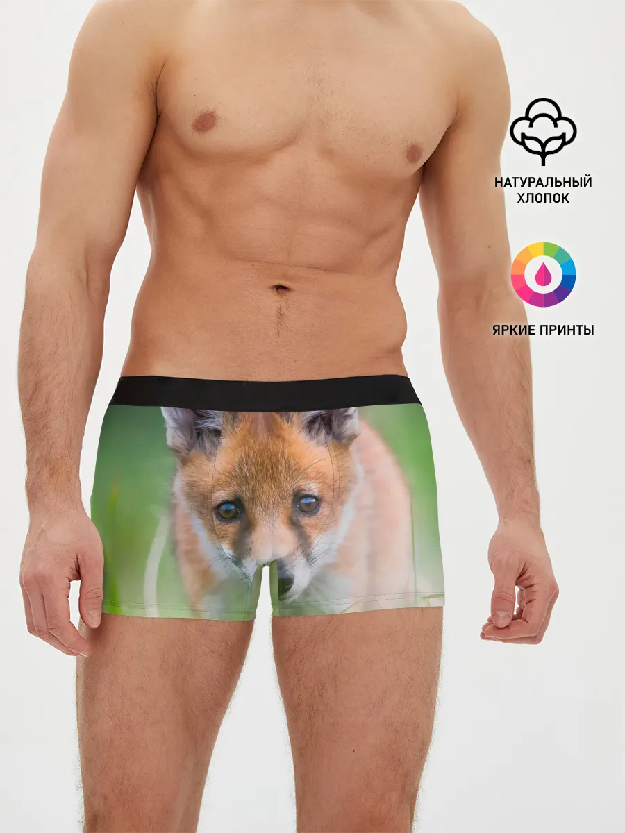Мужские трусы боксеры / Лисенок в засаде