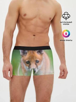 Мужские трусы боксеры / Лисенок в засаде