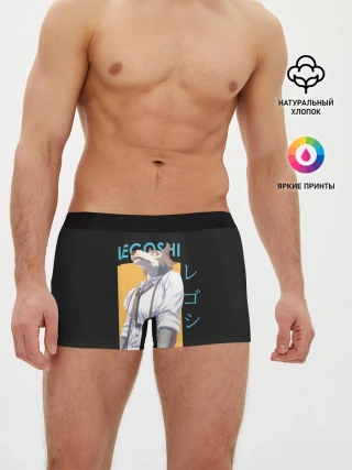 Мужские трусы боксеры / Legoshi Art