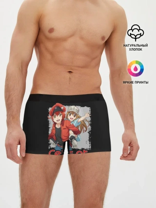 Мужские трусы боксеры / Эритроцит и тромбоцит