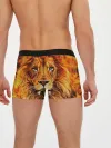 Мужские трусы боксеры / LION