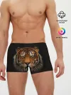 Мужские трусы боксеры / TIGER