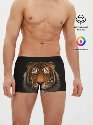 Мужские трусы боксеры / TIGER