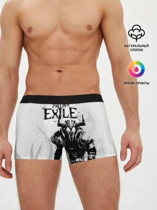 Мужские трусы боксеры / PATCH OF EXILE WARRIOR