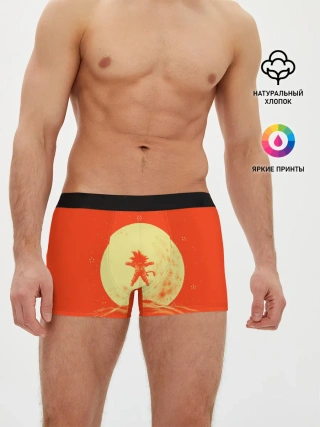 Мужские трусы боксеры / Гоку и луна