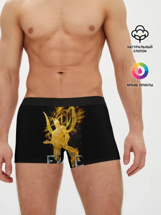 Мужские трусы боксеры / Path of Exile