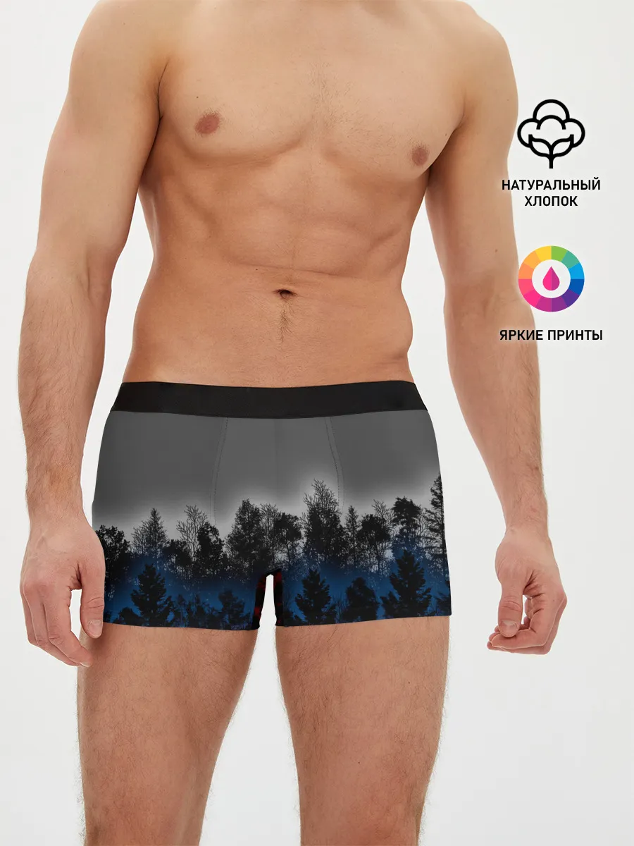 Мужские трусы боксеры / Флаг из леса