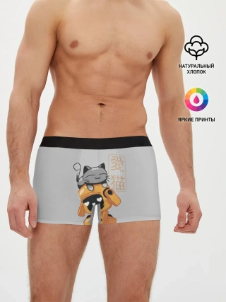 Мужские трусы боксеры / Cat and Robot