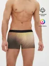Мужские трусы боксеры / Texture. Sun Glare