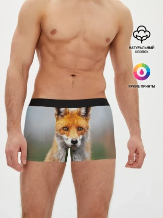 Мужские трусы боксеры / рыжая лисица