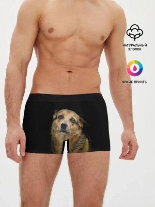 Мужские трусы боксеры / ГРУСТНЫЕ ГЛАЗКИ