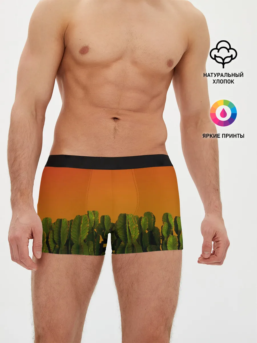 Мужские трусы боксеры / Кактусы на закате