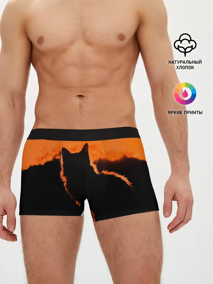 Мужские трусы боксеры / Котенок на фоне заката