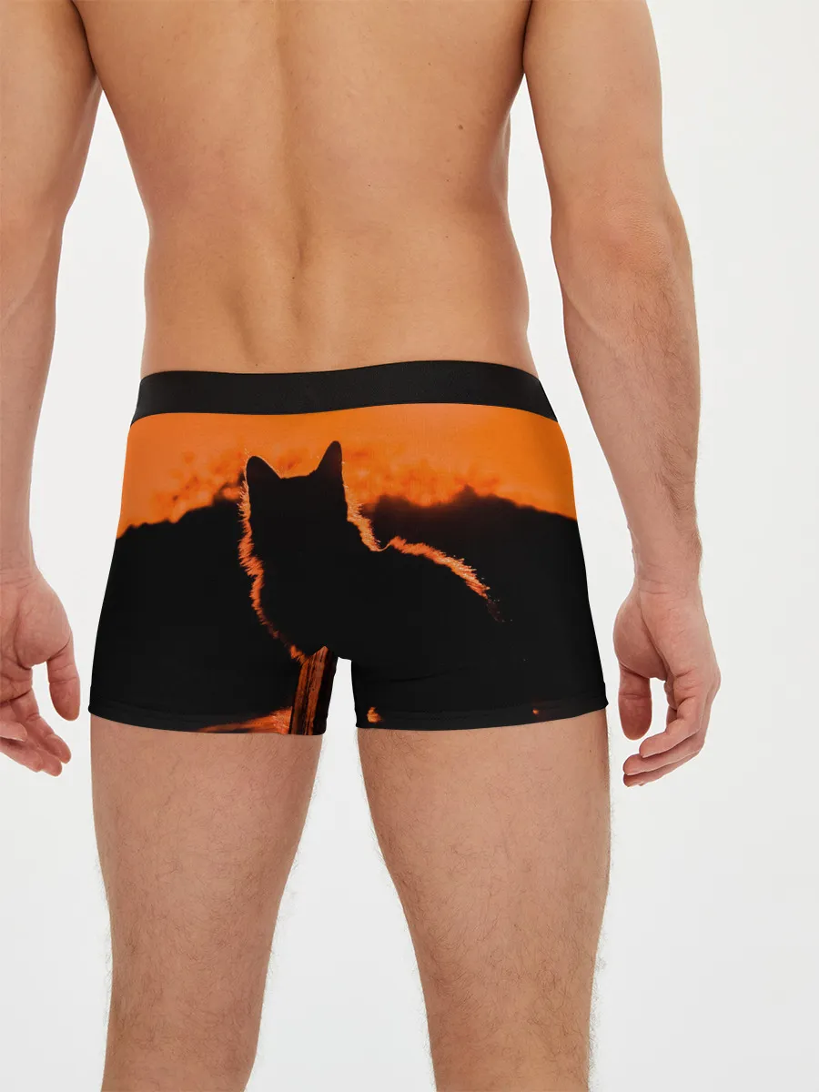 Мужские трусы боксеры / Котенок на фоне заката