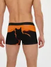Мужские трусы боксеры / Котенок на фоне заката