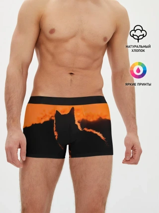 Мужские трусы боксеры / Котенок на фоне заката