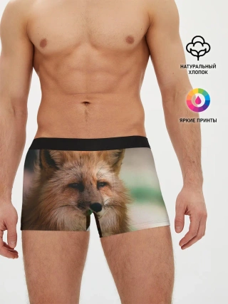 Мужские трусы боксеры / Строгая лисица