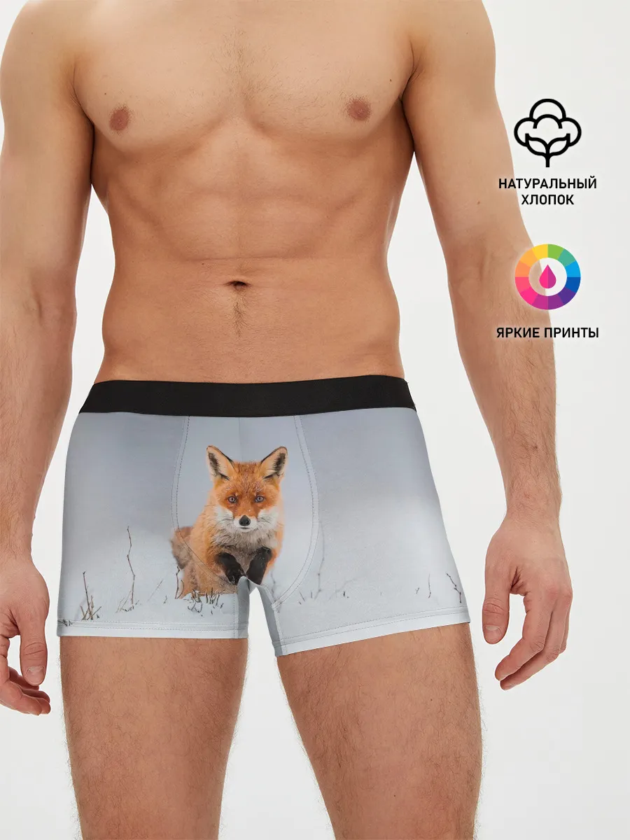 Мужские трусы боксеры / Лисица прыгает по снегу