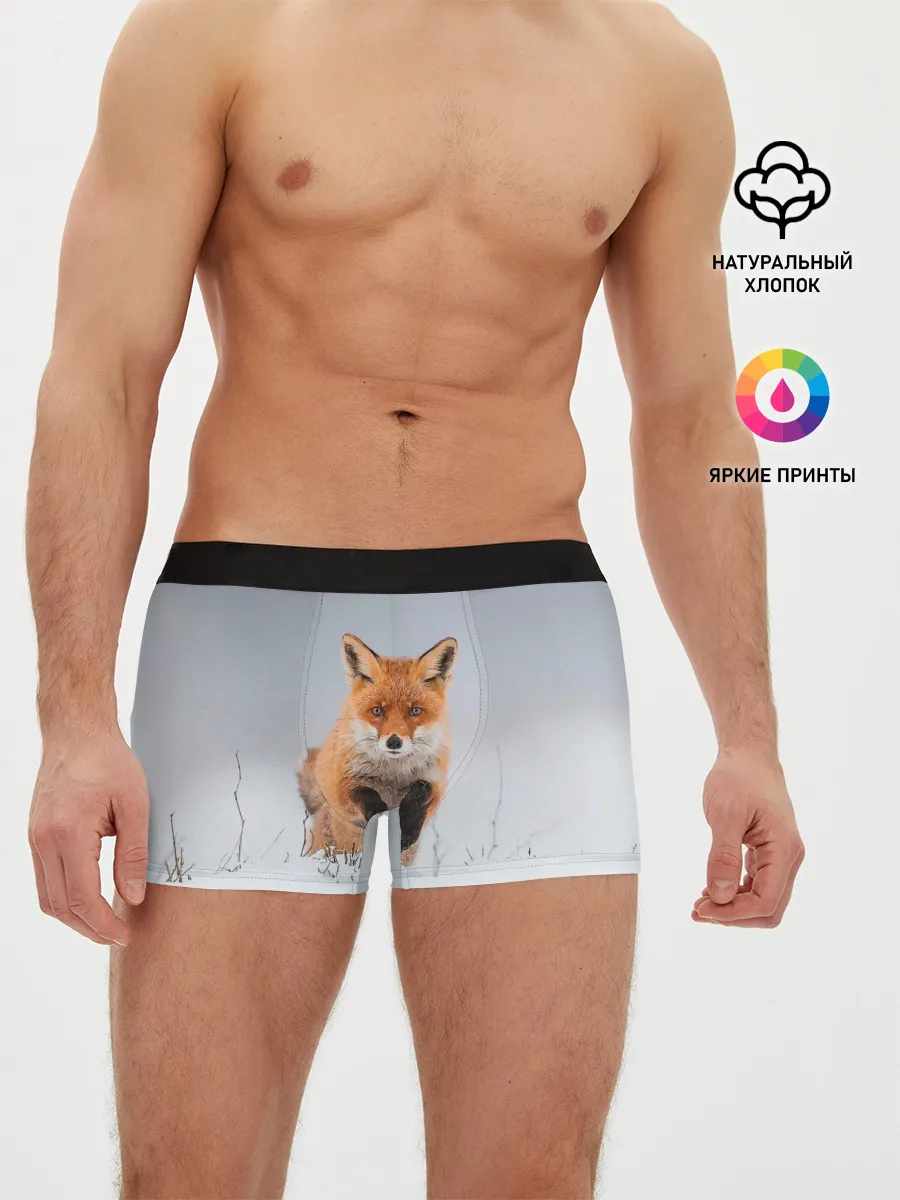 Мужские трусы боксеры / Лисица прыгает по снегу