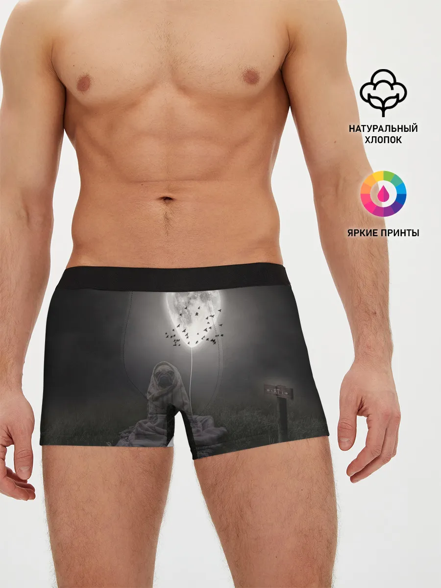 Мужские трусы боксеры / Мопс и луна